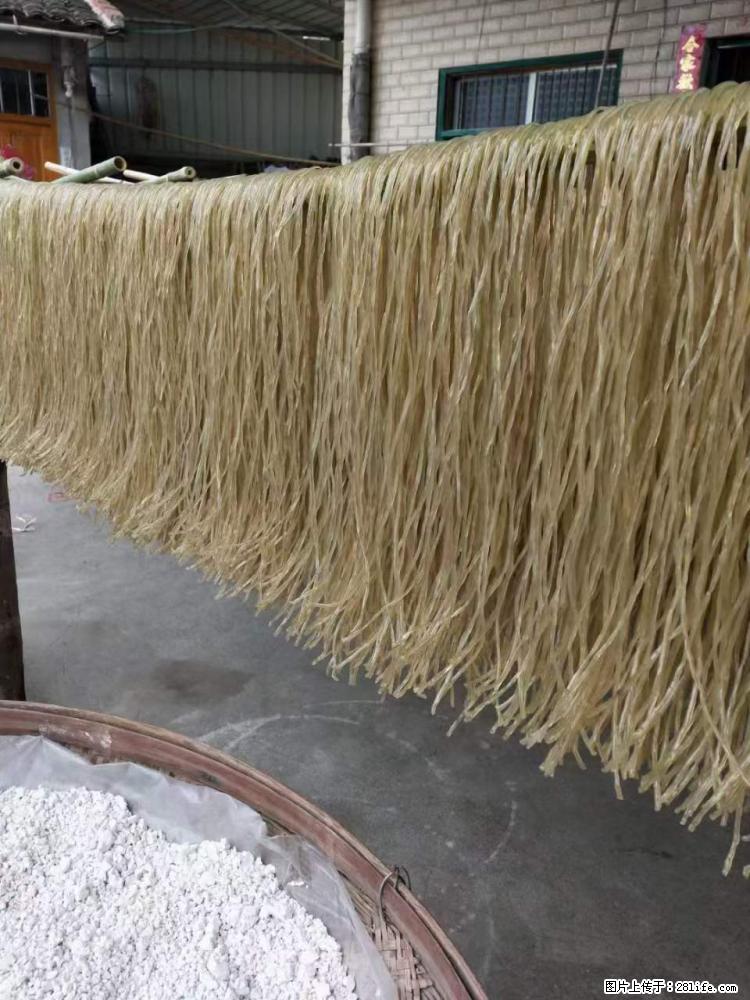 【灌阳正宗红薯粉】美女家里自己做的，干净卫生，假一赔十，价格合理，抢购电话：13737312895 - 美食天地 - 吴忠生活社区 - 吴忠28生活网 wuzhong.28life.net