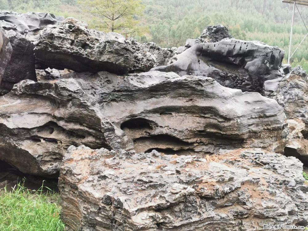 风景石、假山石大量有货，有需要的欢迎联系 - 新手上路 - 吴忠生活社区 - 吴忠28生活网 wuzhong.28life.net