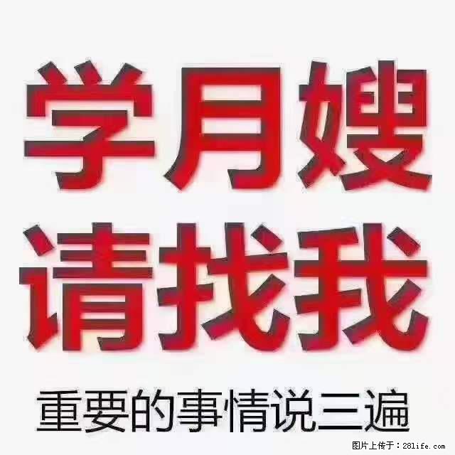 为什么要学习月嫂，育婴师？ - 其他广告 - 广告专区 - 吴忠分类信息 - 吴忠28生活网 wuzhong.28life.net