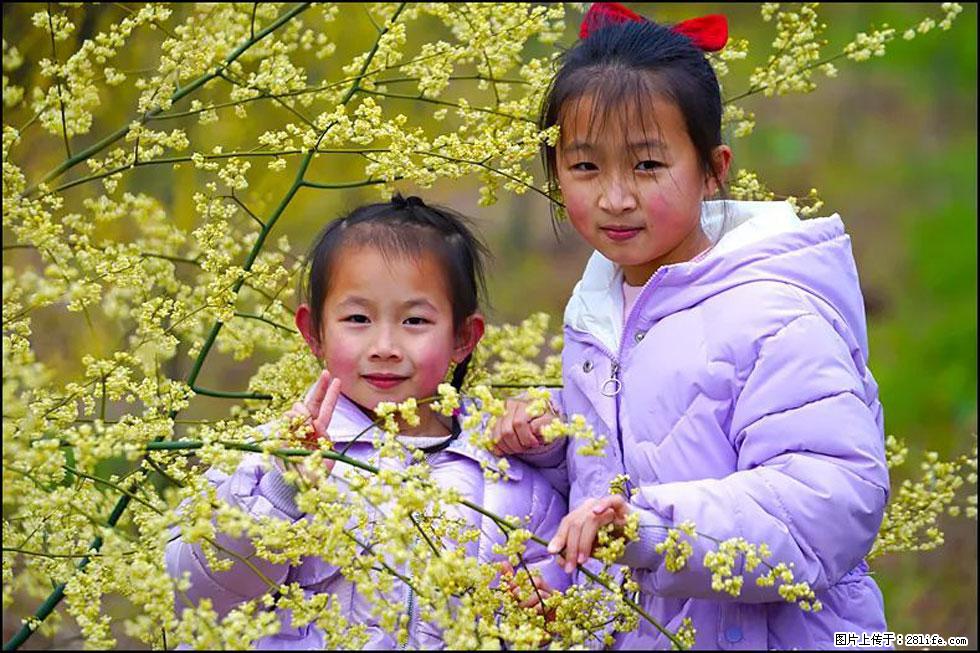 【春天，广西桂林灌阳县向您发出邀请！】米珠山前有片山苍子花在飘香 - 游山玩水 - 吴忠生活社区 - 吴忠28生活网 wuzhong.28life.net