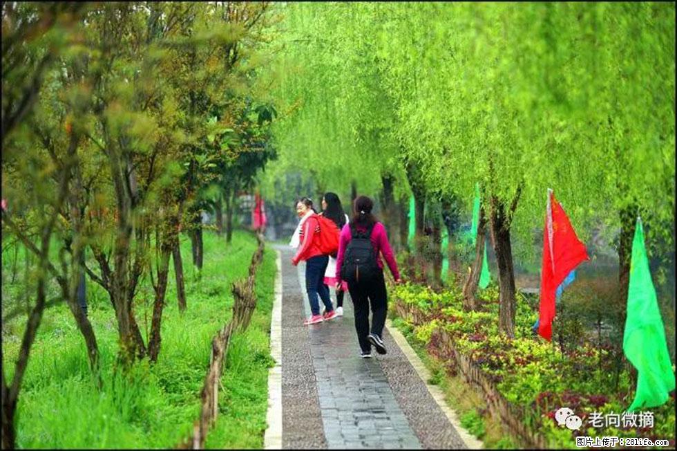 【春天，广西桂林灌阳县向您发出邀请！】江口老街又逢春 - 游山玩水 - 吴忠生活社区 - 吴忠28生活网 wuzhong.28life.net