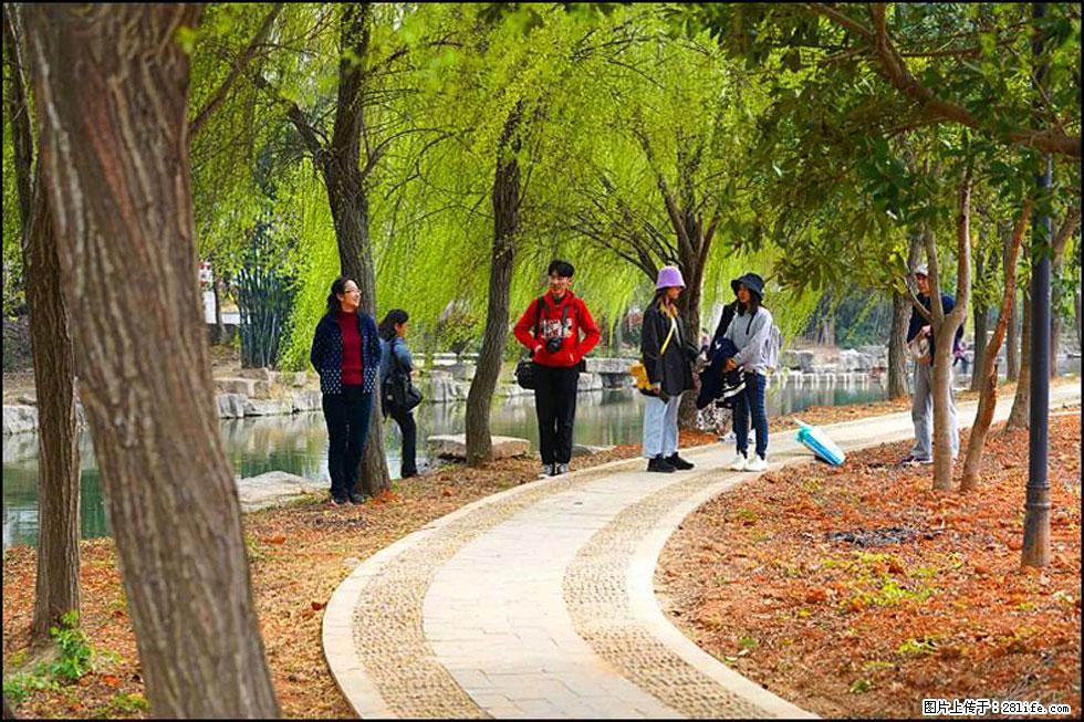 【春天，广西桂林灌阳县向您发出邀请！】江口老街又逢春 - 游山玩水 - 吴忠生活社区 - 吴忠28生活网 wuzhong.28life.net