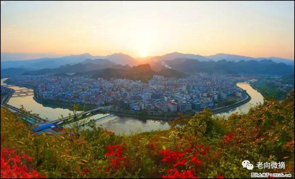 【春天，广西桂林灌阳县向您发出邀请！】登麒麟山，相约映山红 - 游山玩水 - 吴忠生活社区 - 吴忠28生活网 wuzhong.28life.net