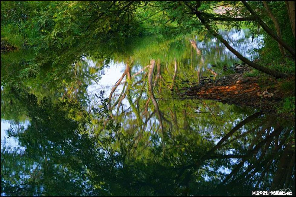 【春天，广西桂林灌阳县向您发出邀请！】熊家寨湿地公园 - 游山玩水 - 吴忠生活社区 - 吴忠28生活网 wuzhong.28life.net
