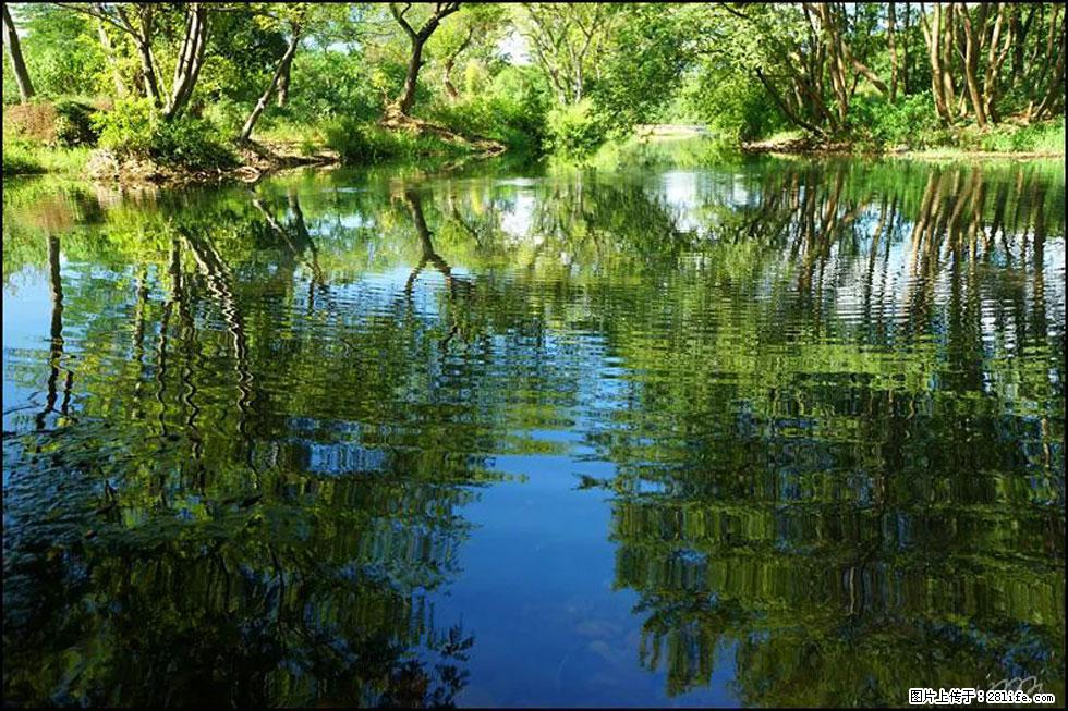 【春天，广西桂林灌阳县向您发出邀请！】熊家寨湿地公园 - 游山玩水 - 吴忠生活社区 - 吴忠28生活网 wuzhong.28life.net