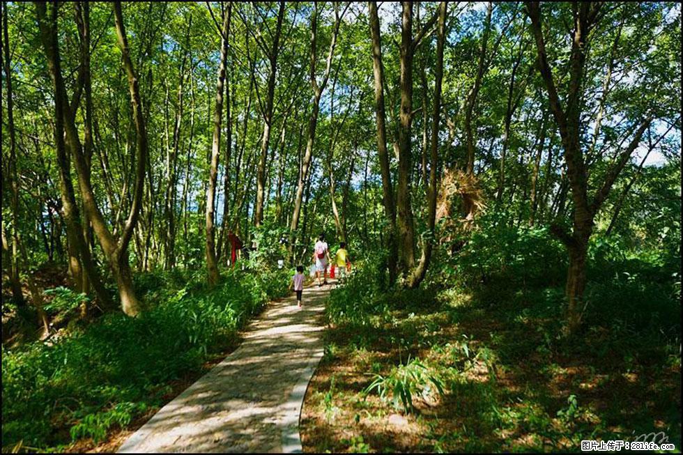 【春天，广西桂林灌阳县向您发出邀请！】熊家寨湿地公园 - 游山玩水 - 吴忠生活社区 - 吴忠28生活网 wuzhong.28life.net