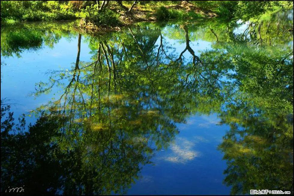 【春天，广西桂林灌阳县向您发出邀请！】熊家寨湿地公园 - 游山玩水 - 吴忠生活社区 - 吴忠28生活网 wuzhong.28life.net