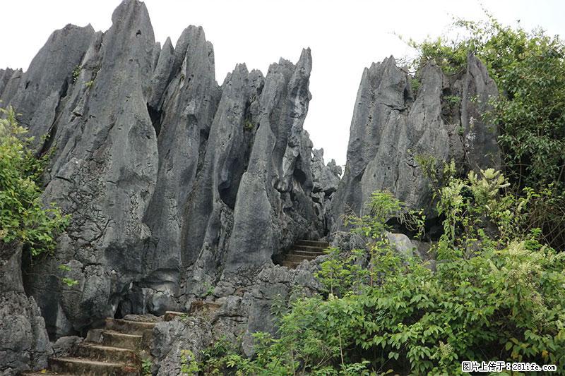桂林旅游名城景点：灌阳文市石林 - 游山玩水 - 吴忠生活社区 - 吴忠28生活网 wuzhong.28life.net