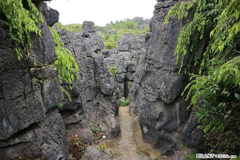 桂林旅游名城景点：灌阳文市石林 - 游山玩水 - 吴忠生活社区 - 吴忠28生活网 wuzhong.28life.net