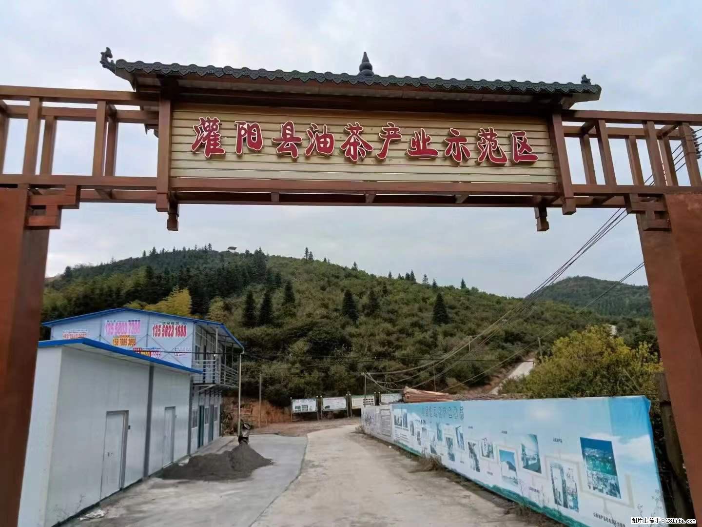 【灌阳县油茶产业示范区】一个有着充实的精神生活的人，对待身外之物自会有一种淡泊的态度 - 土特产 - 饮食特产 - 吴忠分类信息 - 吴忠28生活网 wuzhong.28life.net