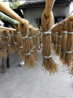 【灌阳正宗红薯粉】美女家里自己做的，干净卫生，假一赔十，价格合理，抢购电话：13737312895 - 吴忠28生活网 wuzhong.28life.net