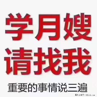 为什么要学习月嫂，育婴师？ - 吴忠28生活网 wuzhong.28life.net