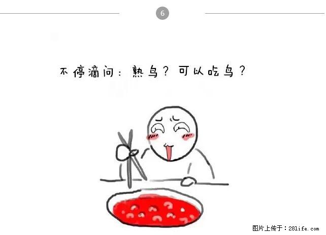 千万不要和这9种哈卵一起吃火锅！ - 美食天地 - 吴忠生活社区 - 吴忠28生活网 wuzhong.28life.net