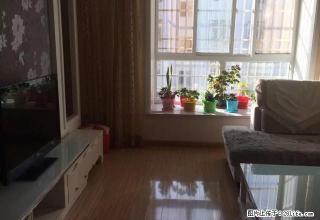精装婚房同心苑3楼两室两厅一卫拎包入住租1200元房主回民 - 吴忠28生活网 wuzhong.28life.net