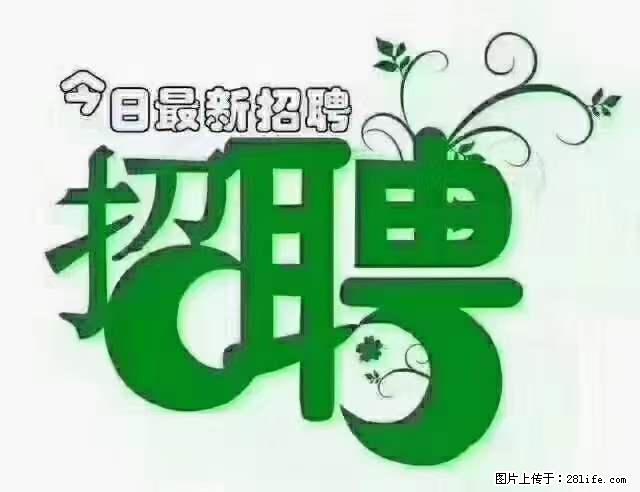 【招聘摄像师】待遇：试用期6000元/月，转正7000元/月+五险一金+餐补+节日福利+奖金 - 其他招聘信息 - 招聘求职 - 吴忠分类信息 - 吴忠28生活网 wuzhong.28life.net