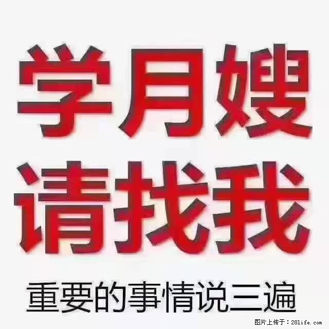 【招聘】月嫂，上海徐汇区 - 职场交流 - 吴忠生活社区 - 吴忠28生活网 wuzhong.28life.net