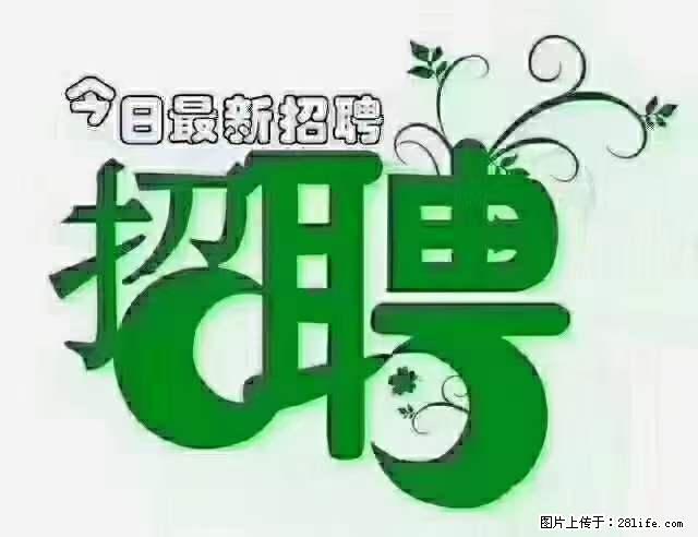 上海青浦区招仓管 - 职场交流 - 吴忠生活社区 - 吴忠28生活网 wuzhong.28life.net