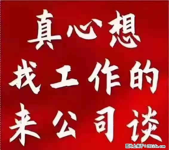 【上海】国企，医院招两名男保安，55岁以下，身高1.7米以上，无犯罪记录不良嗜好 - 职场交流 - 吴忠生活社区 - 吴忠28生活网 wuzhong.28life.net