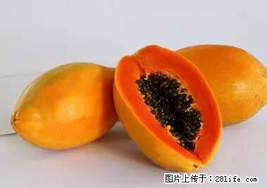 晕车、脚气、牙齿变黄、皮肤粗糙？学会这些三分钟搞定！ - 吴忠生活资讯 - 吴忠28生活网 wuzhong.28life.net