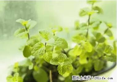 晕车、脚气、牙齿变黄、皮肤粗糙？学会这些三分钟搞定！ - 吴忠生活资讯 - 吴忠28生活网 wuzhong.28life.net