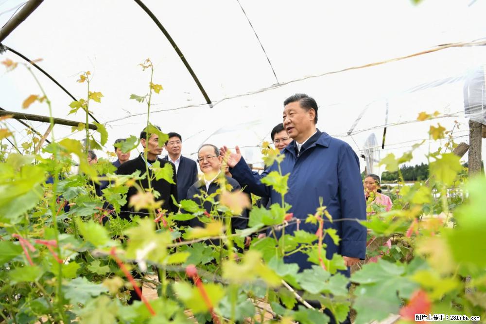 习近平赴广西考察调研 - 吴忠生活资讯 - 吴忠28生活网 wuzhong.28life.net