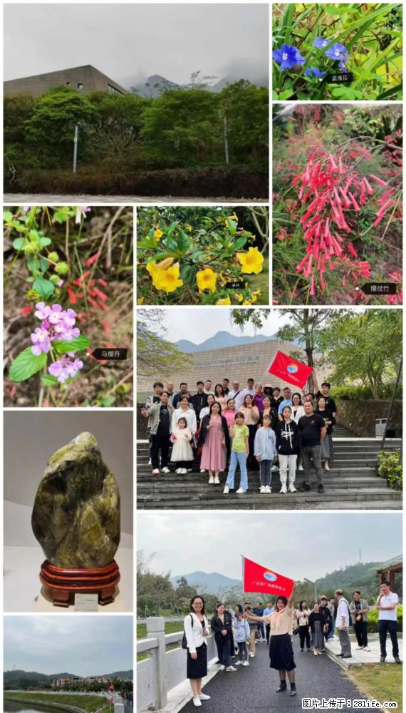 “粤灌文化 美好生活”油茶文化主题活动在广东深圳成功举办 - 吴忠生活资讯 - 吴忠28生活网 wuzhong.28life.net