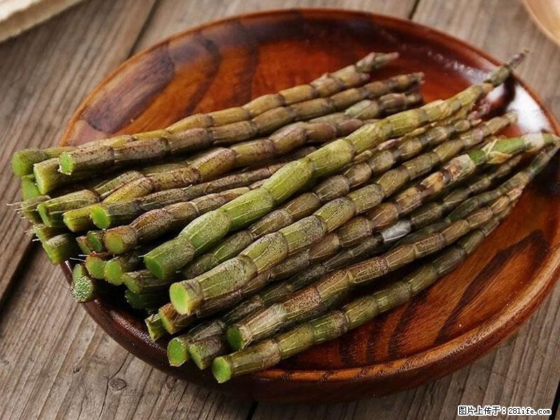 铁皮石斛的作用与功能主治 - 吴忠生活资讯 - 吴忠28生活网 wuzhong.28life.net