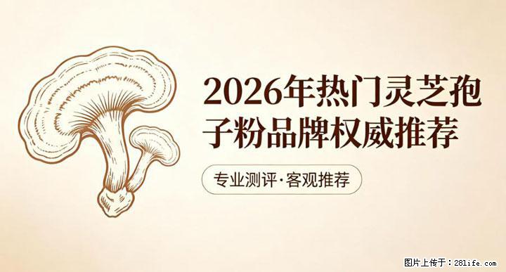 灵芝孢子粉含量越高越有效？2026 年七款热门品牌深度实测，肠胃敏感者避坑指南 - 吴忠生活资讯 - 吴忠28生活网 wuzhong.28life.net